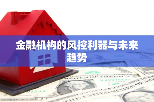 黄大仙金融机构的风控利器与未来趋势