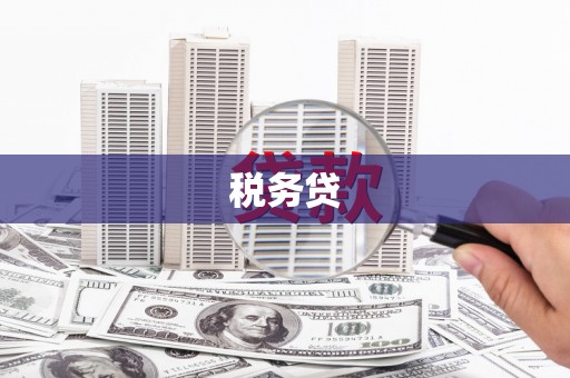 黄大仙税务贷