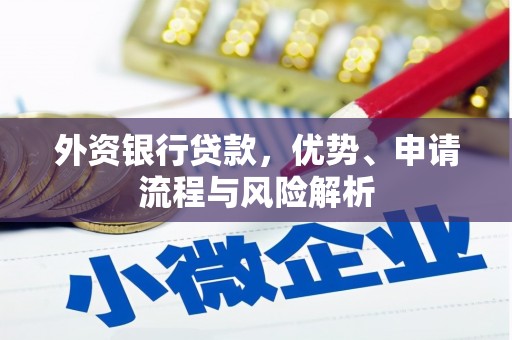 黄大仙外资银行贷款，优势、申请流程与风险解析