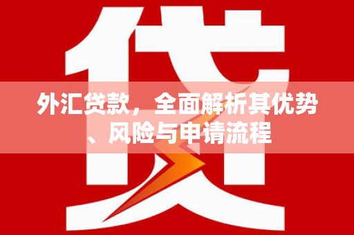 黄大仙外汇贷款，全面解析其优势、风险与申请流程