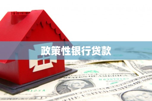 黄大仙政策性银行贷款