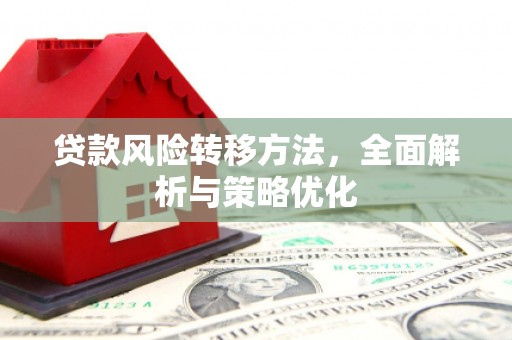 黄大仙贷款风险转移方法，全面解析与策略优化