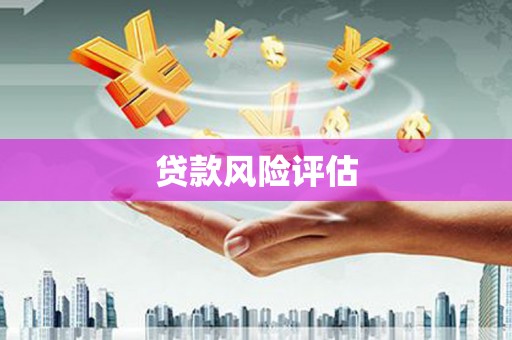 黄大仙贷款风险评估