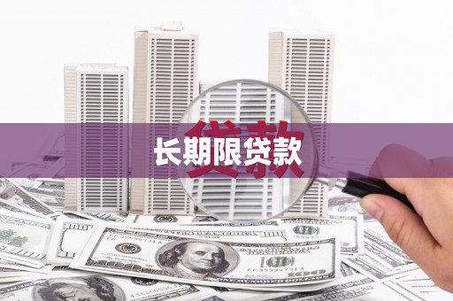 黄大仙长期限贷款