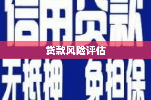 黄大仙贷款风险评估