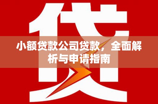 黄大仙小额贷款公司贷款，全面解析与申请指南