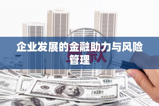 黄大仙企业发展的金融助力与风险管理