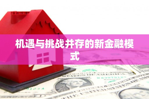 黄大仙机遇与挑战并存的新金融模式