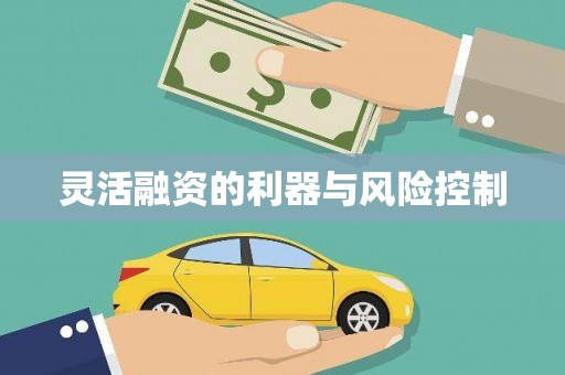 黄大仙灵活融资的利器与风险控制
