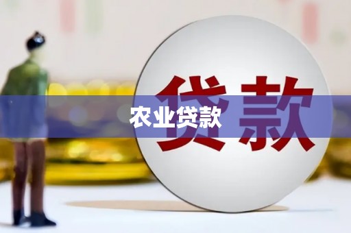 黄大仙农业贷款