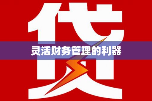 黄大仙灵活财务管理的利器
