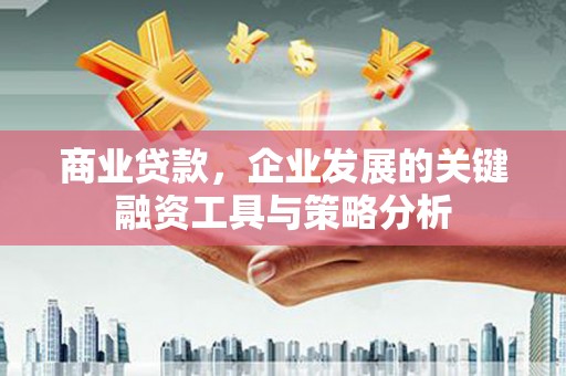 黄大仙商业贷款，企业发展的关键融资工具与策略分析
