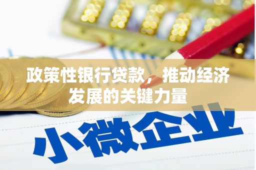 黄大仙政策性银行贷款，推动经济发展的关键力量