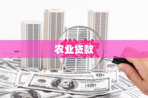 黄大仙农业贷款