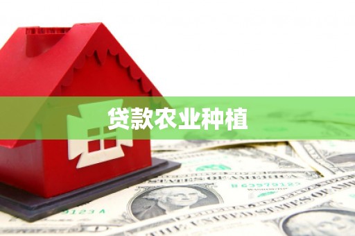 黄大仙贷款农业种植