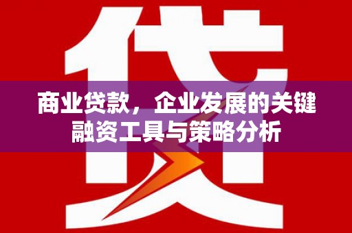 黄大仙商业贷款，企业发展的关键融资工具与策略分析