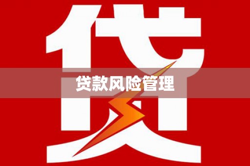 黄大仙贷款风险管理