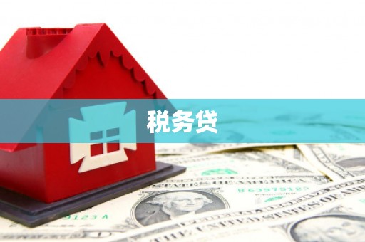 黄大仙税务贷