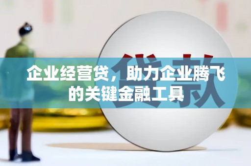 黄大仙企业经营贷，助力企业腾飞的关键金融工具