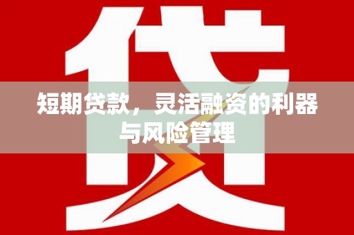 黄大仙短期贷款，灵活融资的利器与风险管理