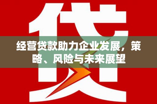 黄大仙经营贷款助力企业发展，策略、风险与未来展望