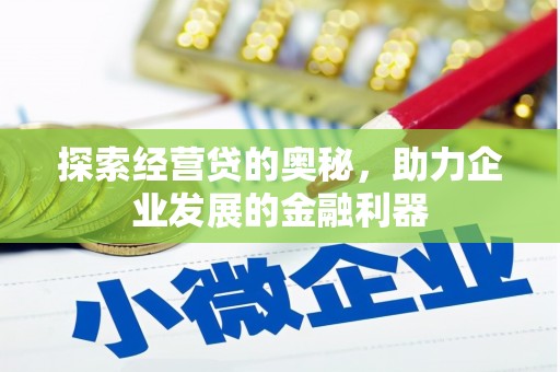 黄大仙探索经营贷的奥秘，助力企业发展的金融利器