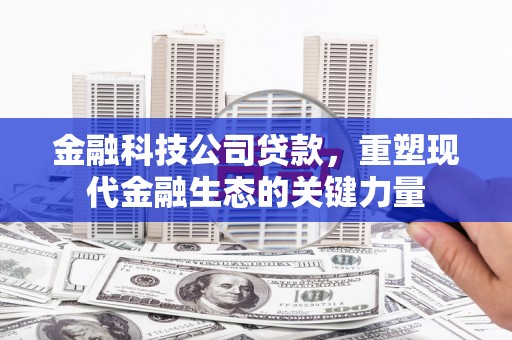 黄大仙金融科技公司贷款，重塑现代金融生态的关键力量