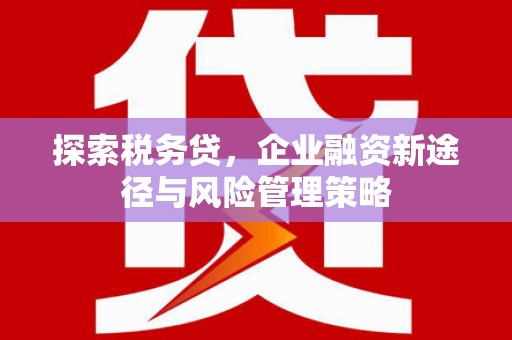 黄大仙探索税务贷，企业融资新途径与风险管理策略