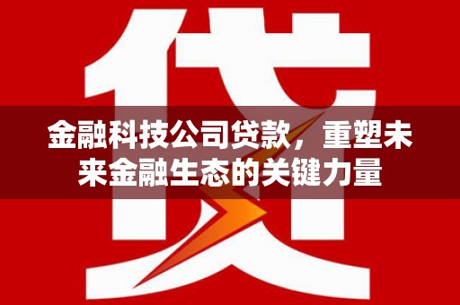 黄大仙金融科技公司贷款，重塑未来金融生态的关键力量