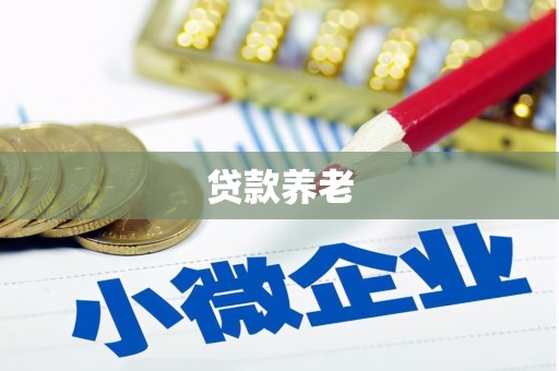 黄大仙贷款养老