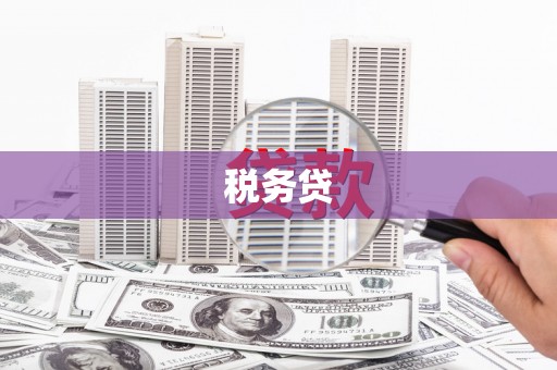 黄大仙税务贷