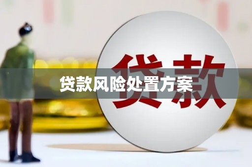黄大仙贷款风险处置方案