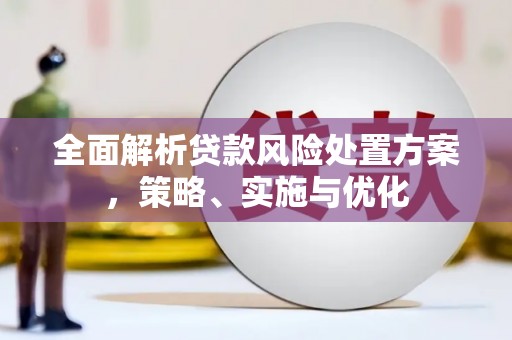 黄大仙全面解析贷款风险处置方案，策略、实施与优化