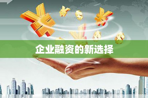 黄大仙企业融资的新选择