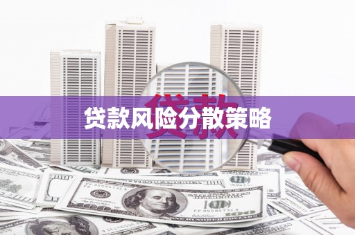 黄大仙贷款风险分散策略