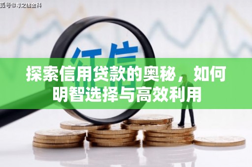 黄大仙探索信用贷款的奥秘，如何明智选择与高效利用