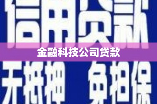 黄大仙金融科技公司贷款