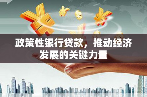 黄大仙政策性银行贷款，推动经济发展的关键力量