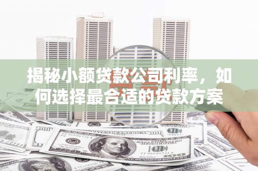 黄大仙揭秘小额贷款公司利率，如何选择最合适的贷款方案