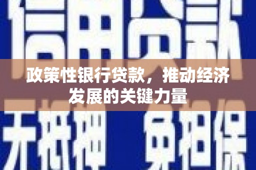 黄大仙政策性银行贷款，推动经济发展的关键力量