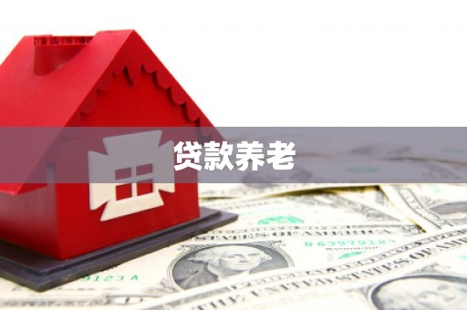 黄大仙贷款养老