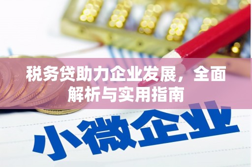 黄大仙税务贷助力企业发展，全面解析与实用指南