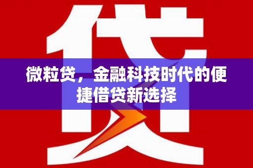 黄大仙微粒贷，金融科技时代的便捷借贷新选择
