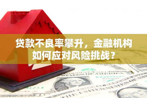 黄大仙贷款不良率攀升，金融机构如何应对风险挑战？