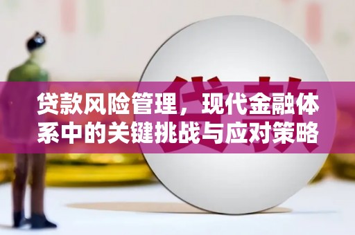 黄大仙贷款风险管理，现代金融体系中的关键挑战与应对策略