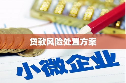 黄大仙贷款风险处置方案