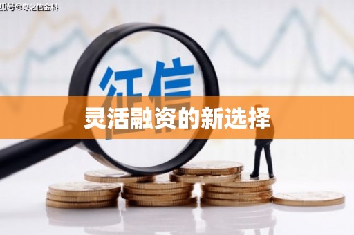 黄大仙灵活融资的新选择