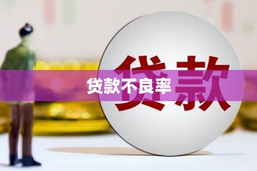 黄大仙贷款不良率