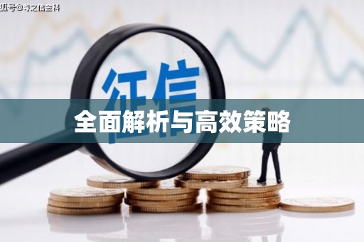 黄大仙全面解析与高效策略