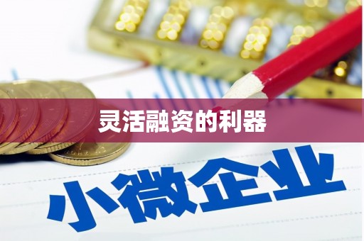 黄大仙灵活融资的利器